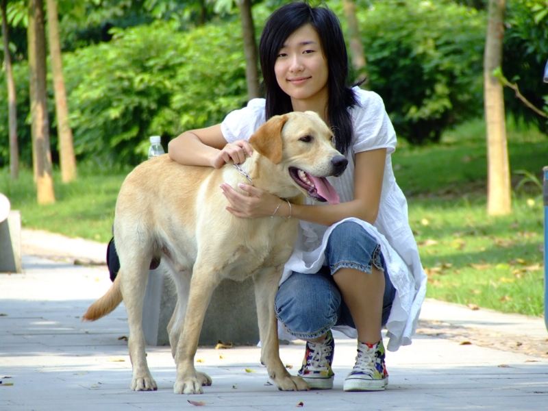 风中的绿叶的第一张照片--平顶山相亲服务中心