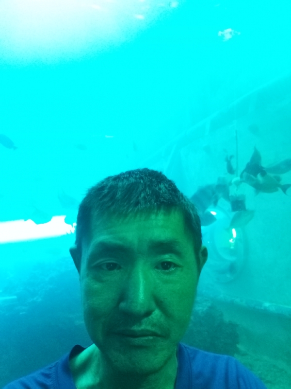 陸戰隊的第一张照片--平顶山相亲服务中心