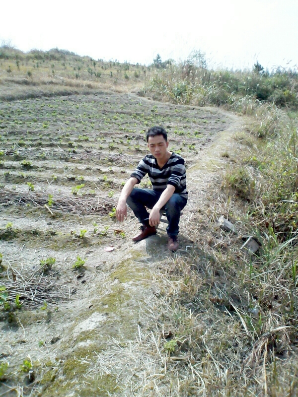 你好的第一张照片--平顶山相亲服务中心