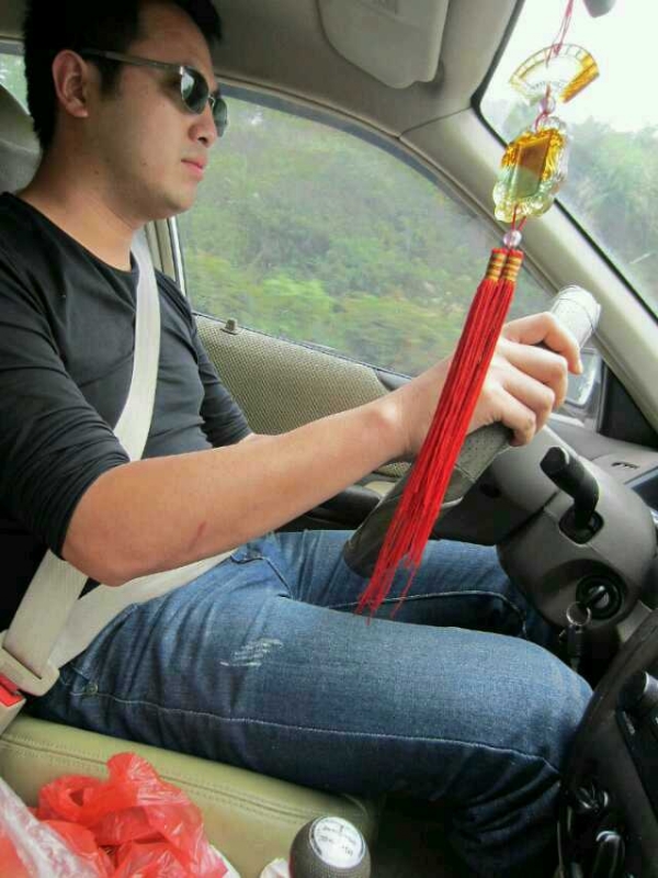 熊猫的第一张照片--平顶山相亲服务中心