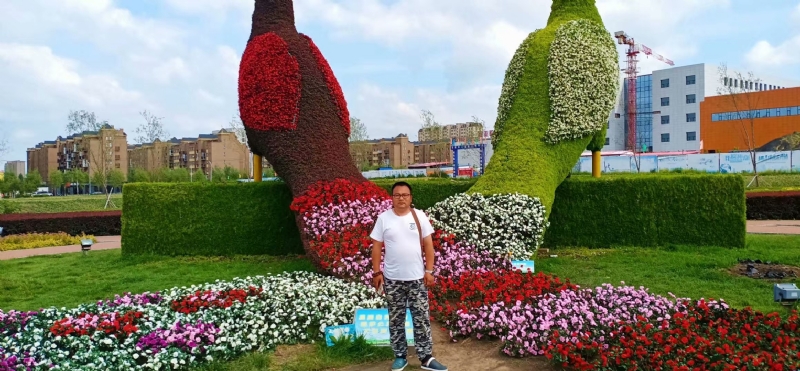 尘埃的第一张照片--平顶山相亲服务中心