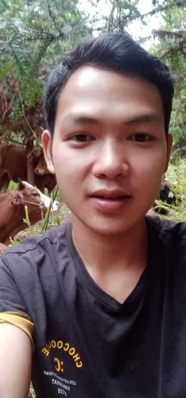 等AI的第一张照片--平顶山相亲服务中心