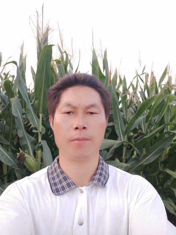 四海游龙的第二张照片--平顶山相亲服务中心