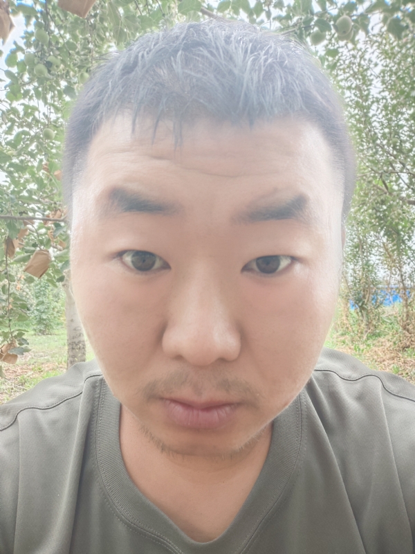 明天的第一张照片--平顶山相亲服务中心