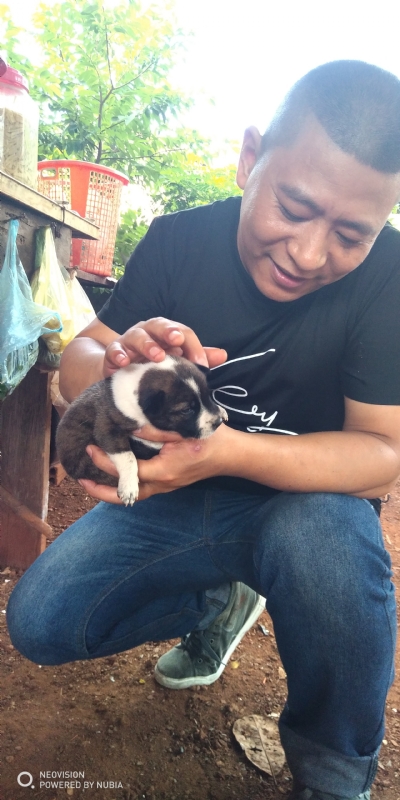 深圳相亲的第一张照片--平顶山相亲服务中心