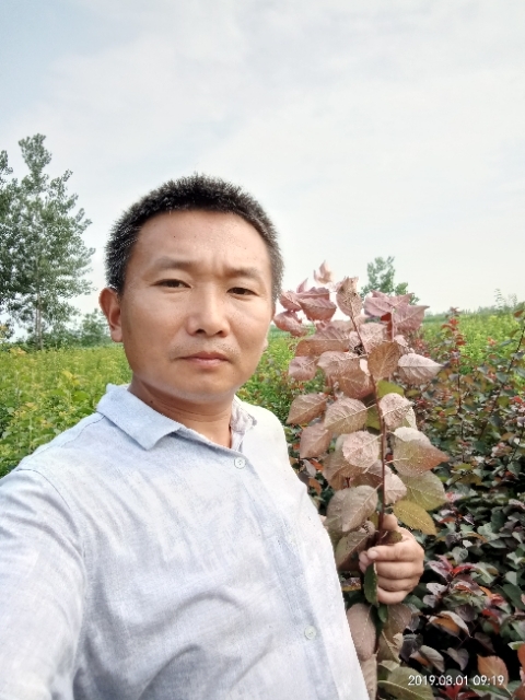 孩子爸的第一张照片--平顶山相亲服务中心