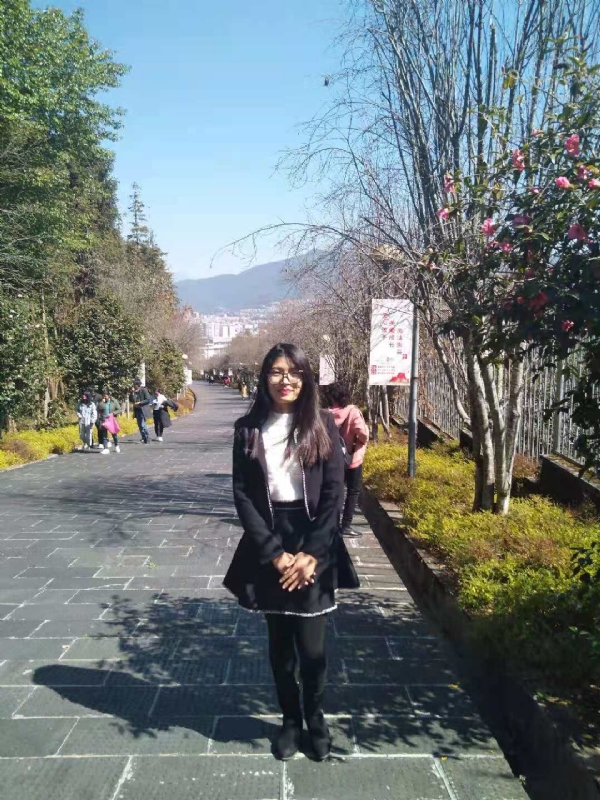 窗台上的桔梗的第一张照片--平顶山相亲服务中心