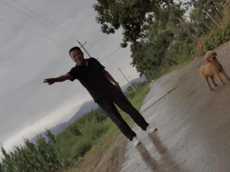 每天的温暖的第一张照片--平顶山相亲服务中心