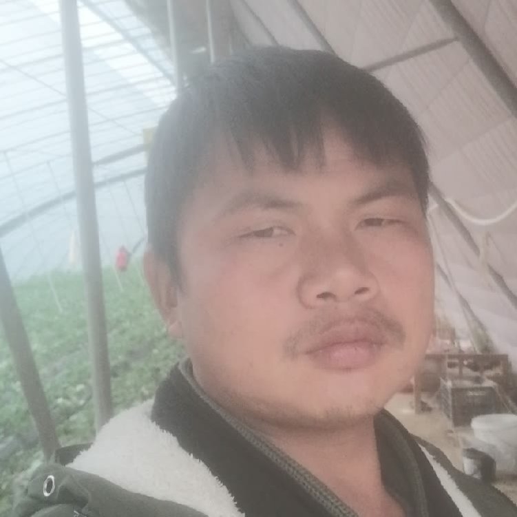 孤狼‘的第一张照片--平顶山相亲服务中心