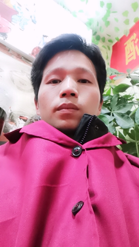 单身的林凡的第一张照片--平顶山相亲服务中心