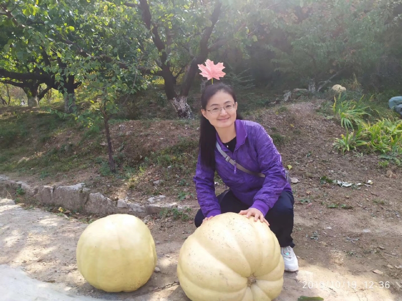 海绵宝宝的第一张照片--平顶山相亲服务中心