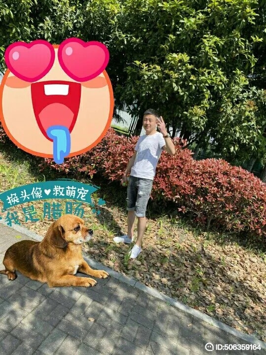 我若不坚强谁替我勇敢的第五张照片--平顶山相亲服务中心