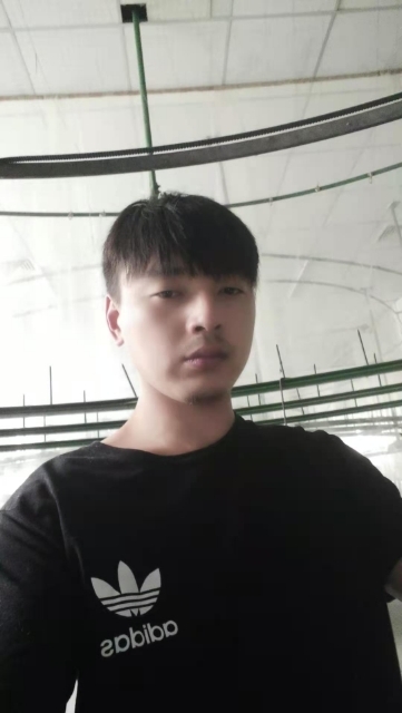 久鑫的第一张照片--平顶山相亲服务中心