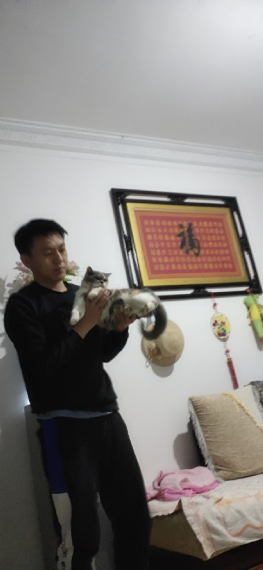 水思云的第一张照片--平顶山相亲服务中心