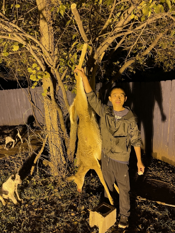 Kandy的第三张照片--平顶山相亲服务中心