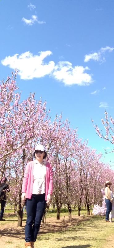 Grace的第二张照片--平顶山相亲服务中心