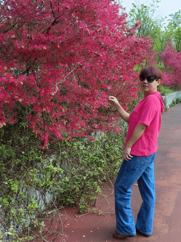 羊羊的第一张照片--平顶山相亲服务中心