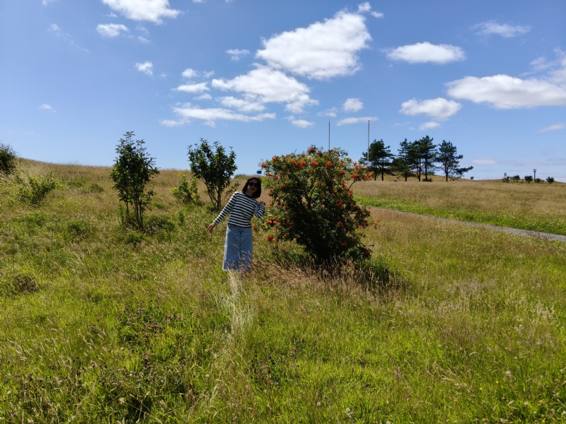 秋蝉的第一张照片--平顶山相亲服务中心