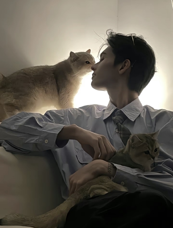 怪猫的第一张照片--平顶山相亲服务中心