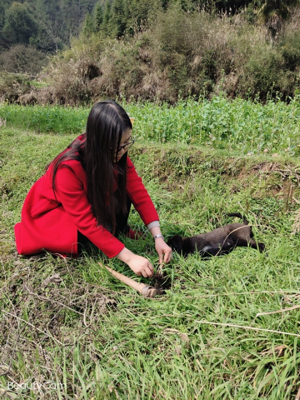 下一个春和秋的第一张照片--平顶山相亲服务中心