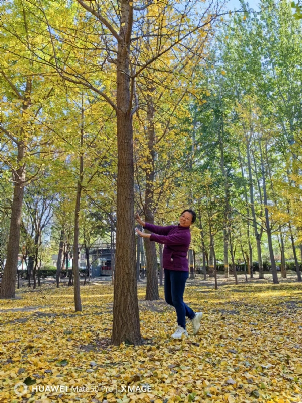 Shirley的第二张照片--平顶山相亲服务中心