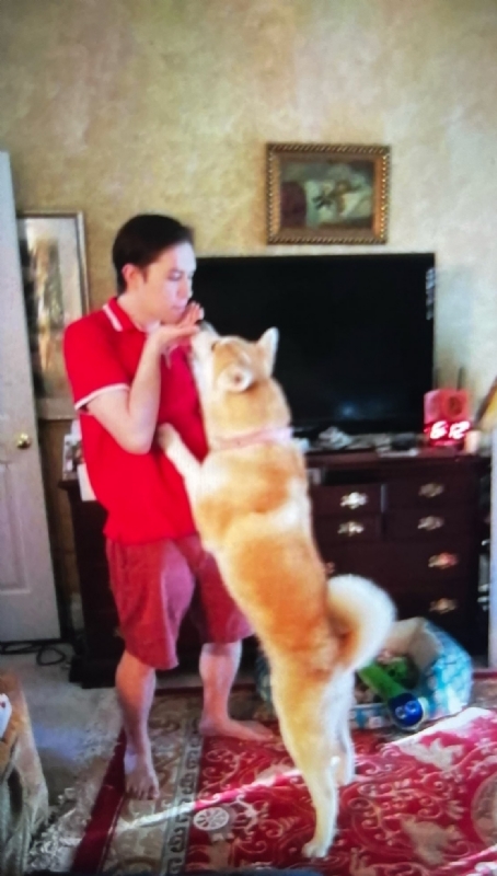 Leluch的第一张照片--平顶山相亲服务中心