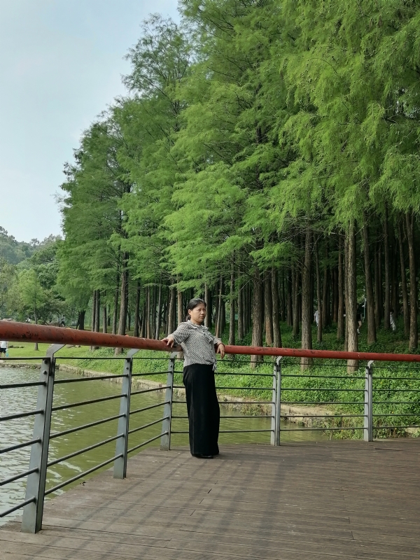 遗失的记忆的第二张照片--平顶山相亲服务中心