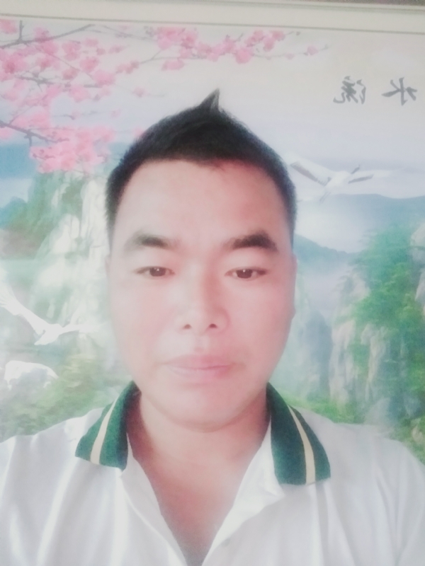 阳光男孩的第二张照片--平顶山相亲服务中心