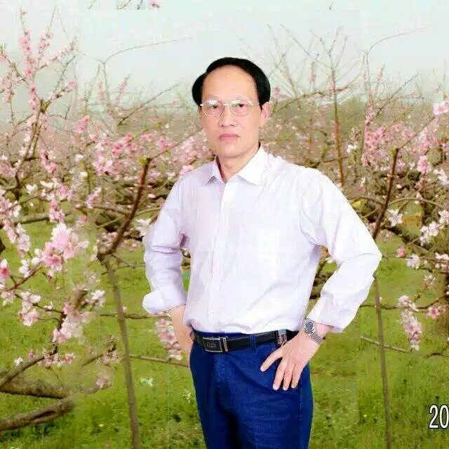 枫叶的第一张照片--平顶山相亲服务中心