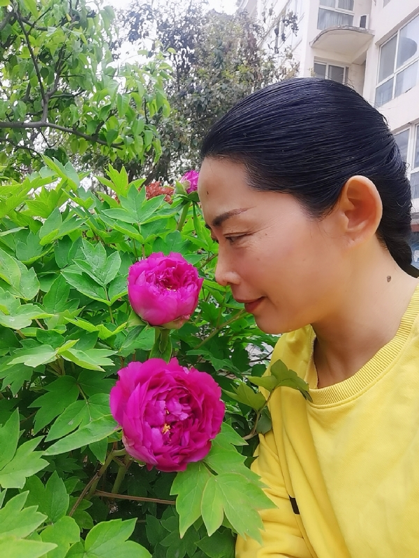 厚德载物的第一张照片--平顶山相亲服务中心