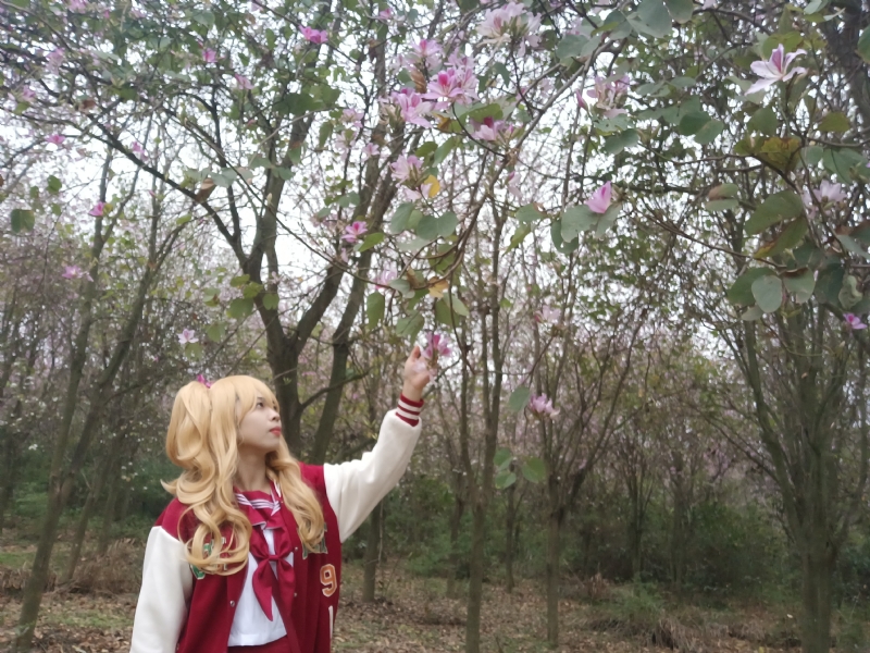 暮秋的第二张照片--平顶山相亲服务中心