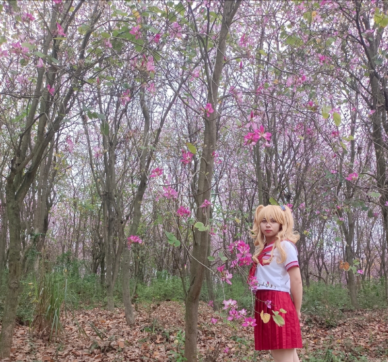 暮秋的第三张照片--平顶山相亲服务中心