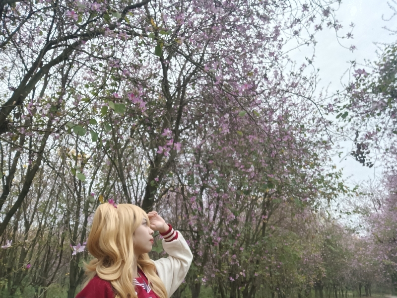 暮秋的第五张照片--平顶山相亲服务中心