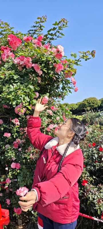 狗狗的第一张照片--平顶山相亲服务中心