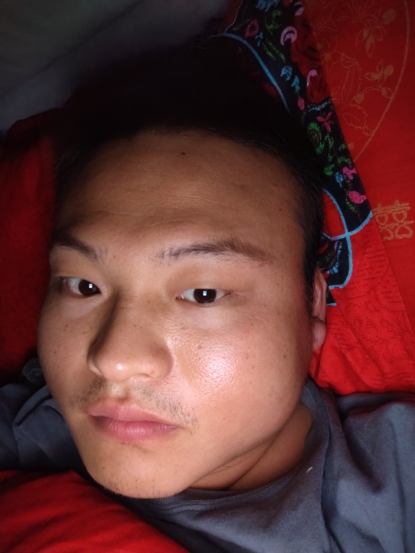 大黄的第一张照片--平顶山相亲服务中心