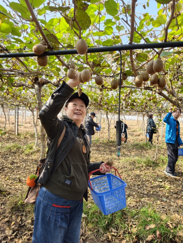 夜莺的第四张照片--平顶山相亲服务中心
